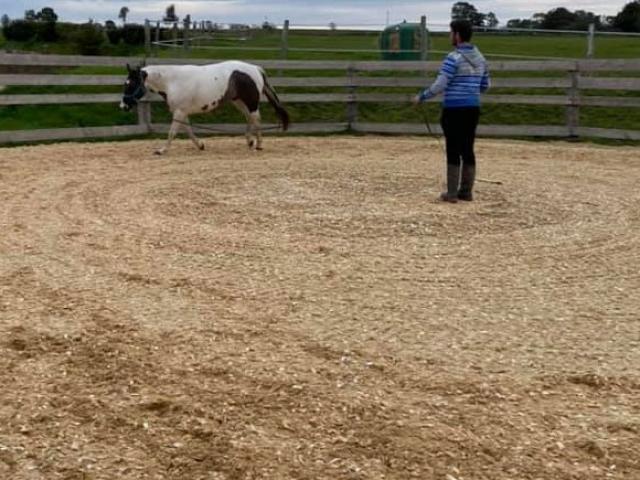 Rond de longe fibré et drainé pour longer votre cheval en toute sécurité