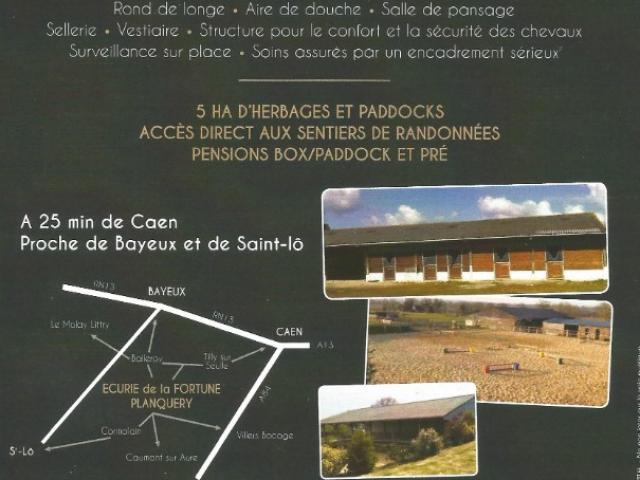 Pension de propriétaires de chevaux région Bayeux Saint Lô Caen en Normandie