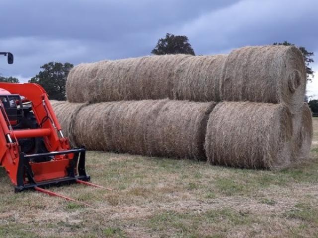 Foin récolté sur les herbages des  écuries de la fortune pour les pensions chevaux